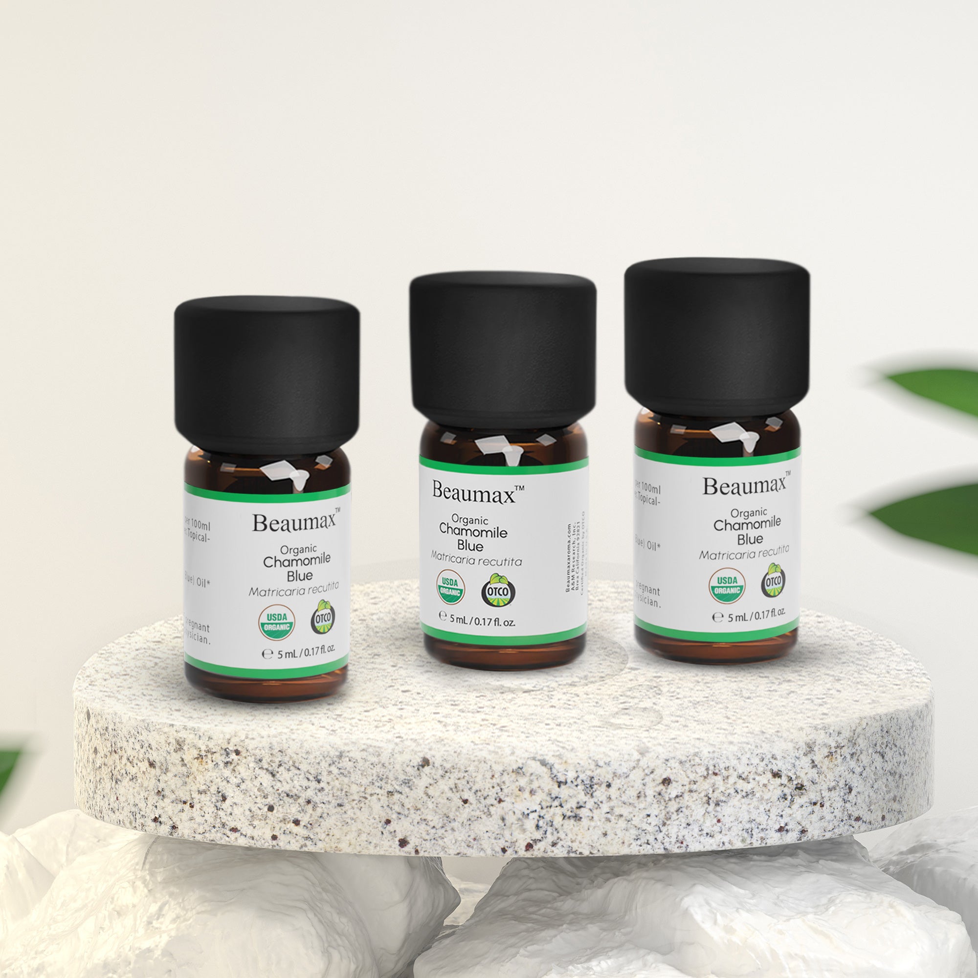 Chamomile Blue - Organic Essential Oil (Matricaria Recutita)